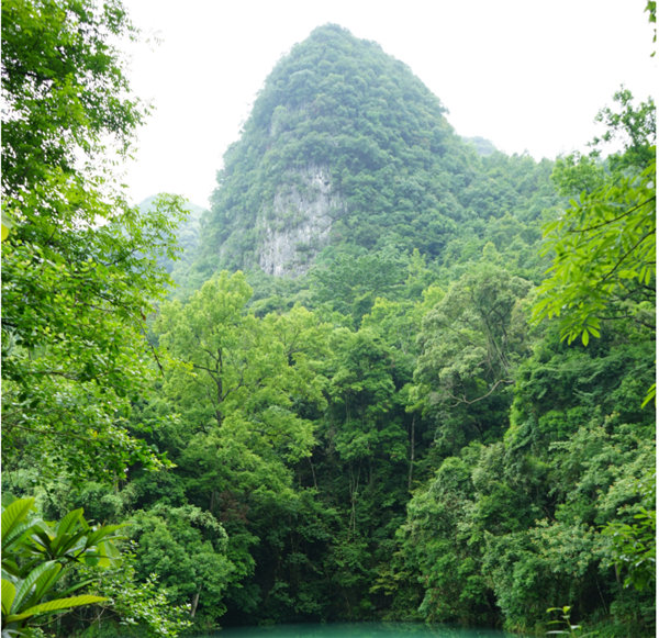 賞華夏大地，游多彩貴州-－2021年廣東博皓快樂行-2