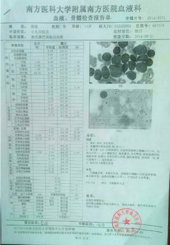 高俊的血液、骨髓檢查報(bào)告單